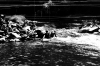 19-harrachovka_2025